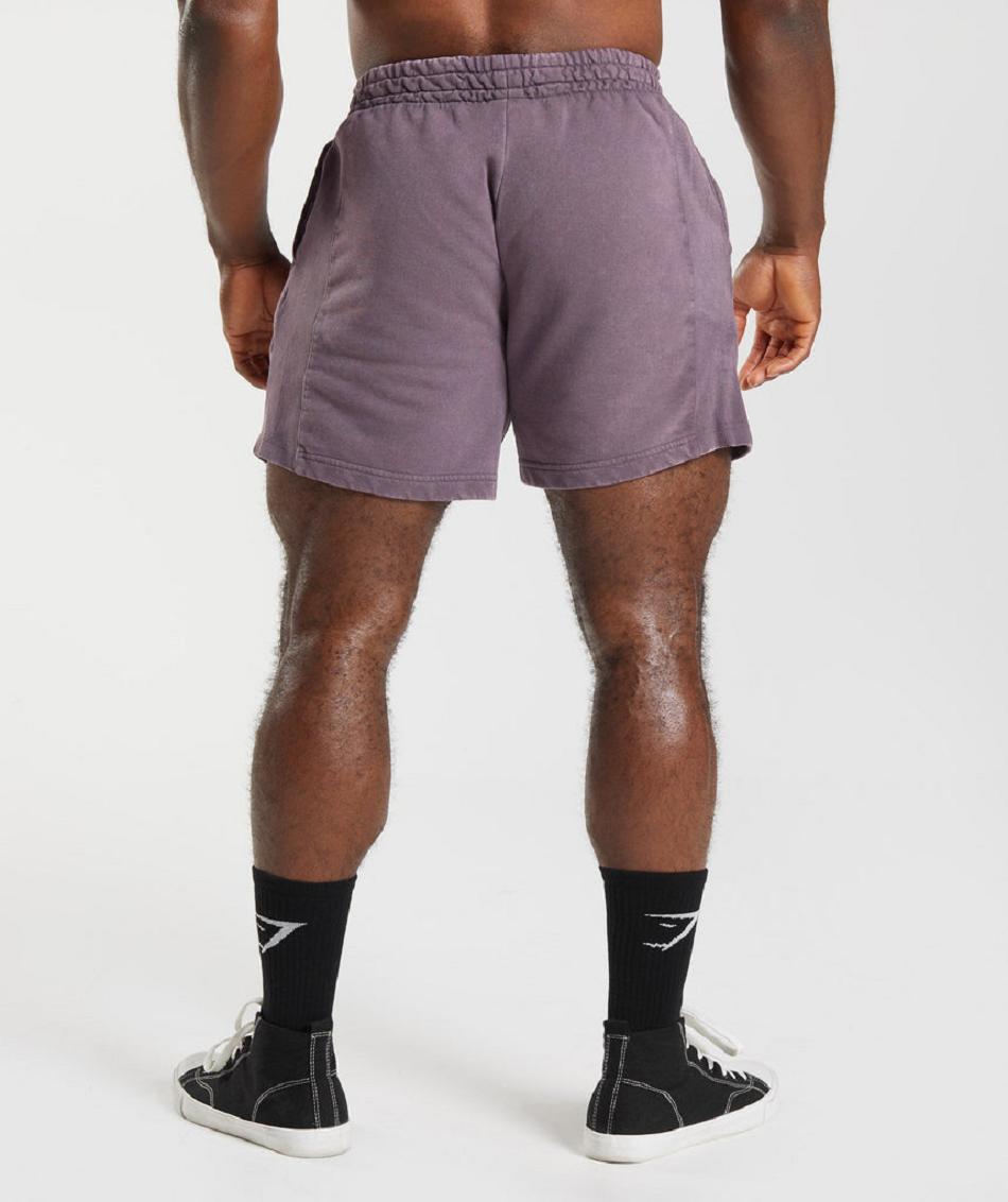 Σορτσ Gymshark Power Washed 5