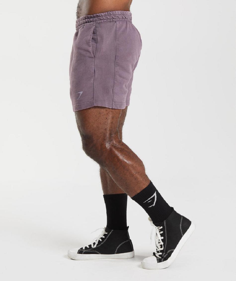 Σορτσ Gymshark Power Washed 5