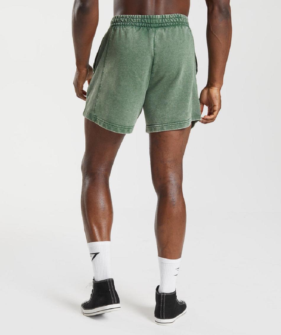 Σορτσ Gymshark Power Washed 5