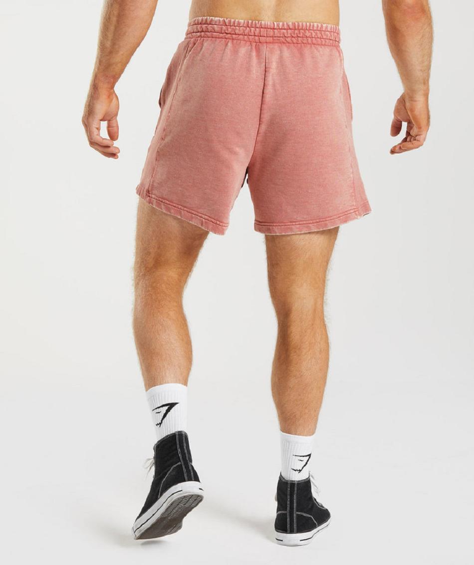 Σορτσ Gymshark Power Washed 5