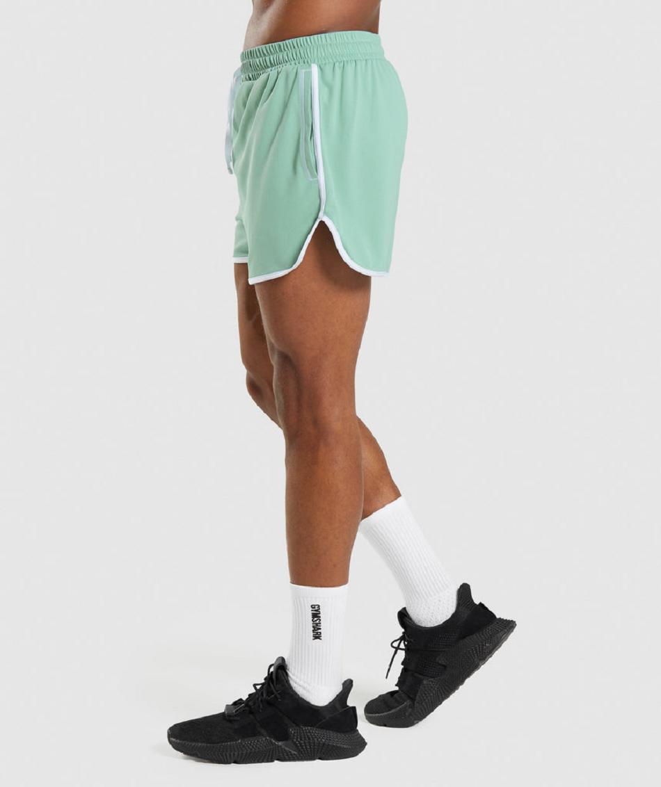 Σορτσ Gymshark Recess 3