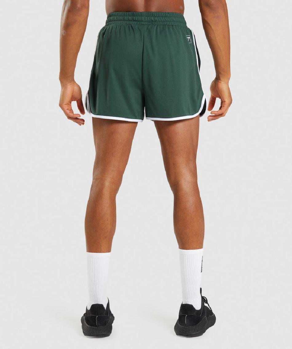 Σορτσ Gymshark Recess 3