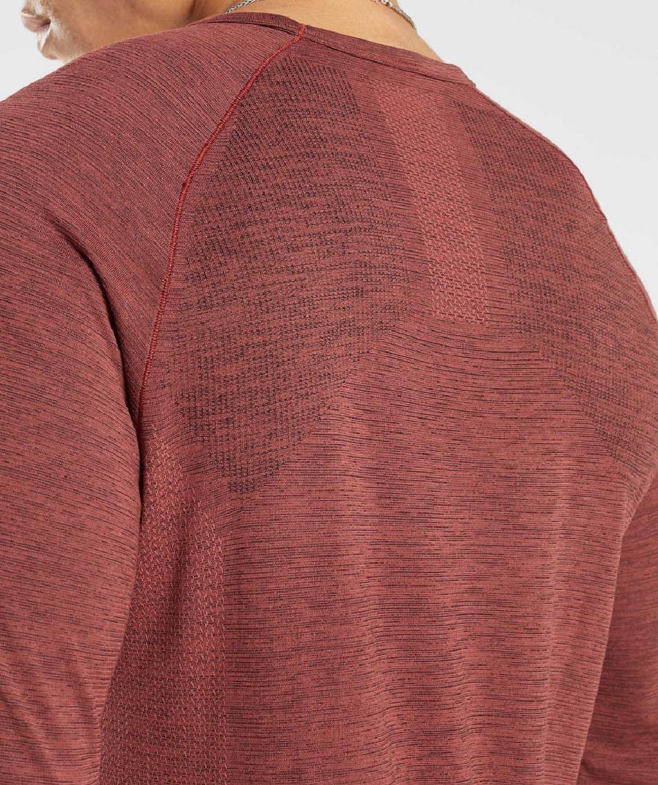 Μακρυμανικο Gymshark Retake Seamless ανδρικα ροζ καφε μαυρα | GR_EE2962