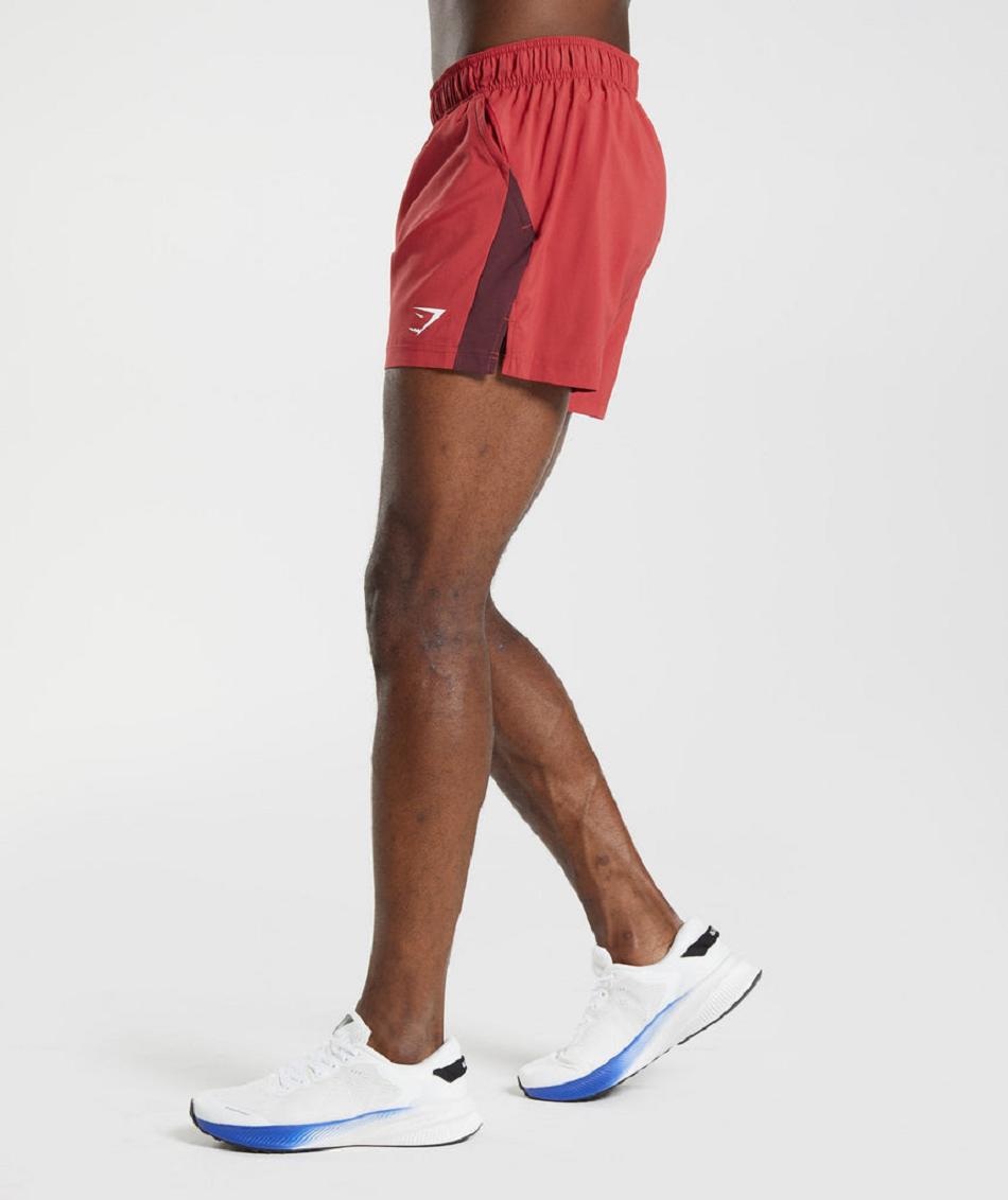 Σορτσ Gymshark Sport 5