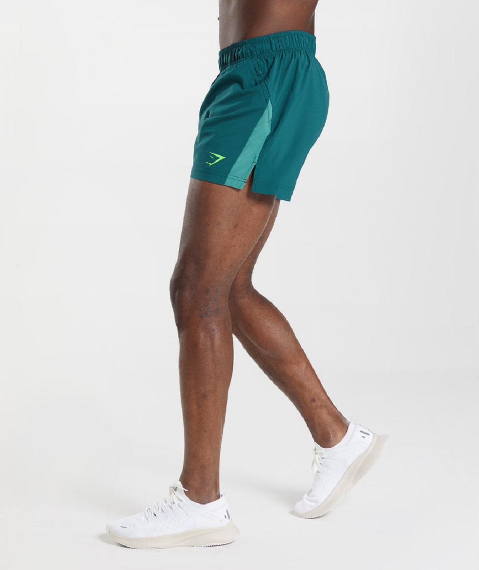 Σορτσ Gymshark Sport 5