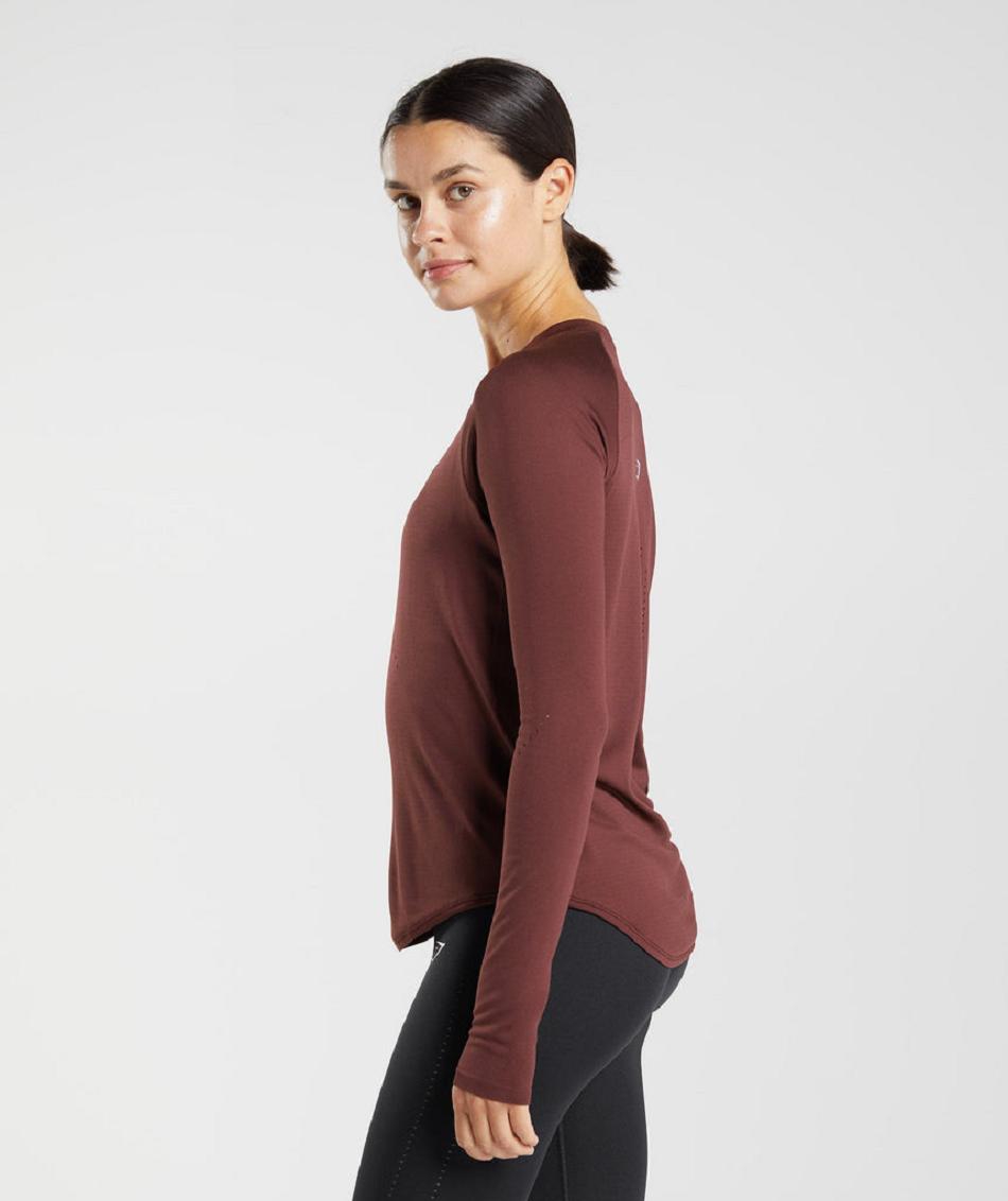 Μακρυμανικο Gymshark Sweat Seamless γυναικεια μπορντο | GR_BH2248