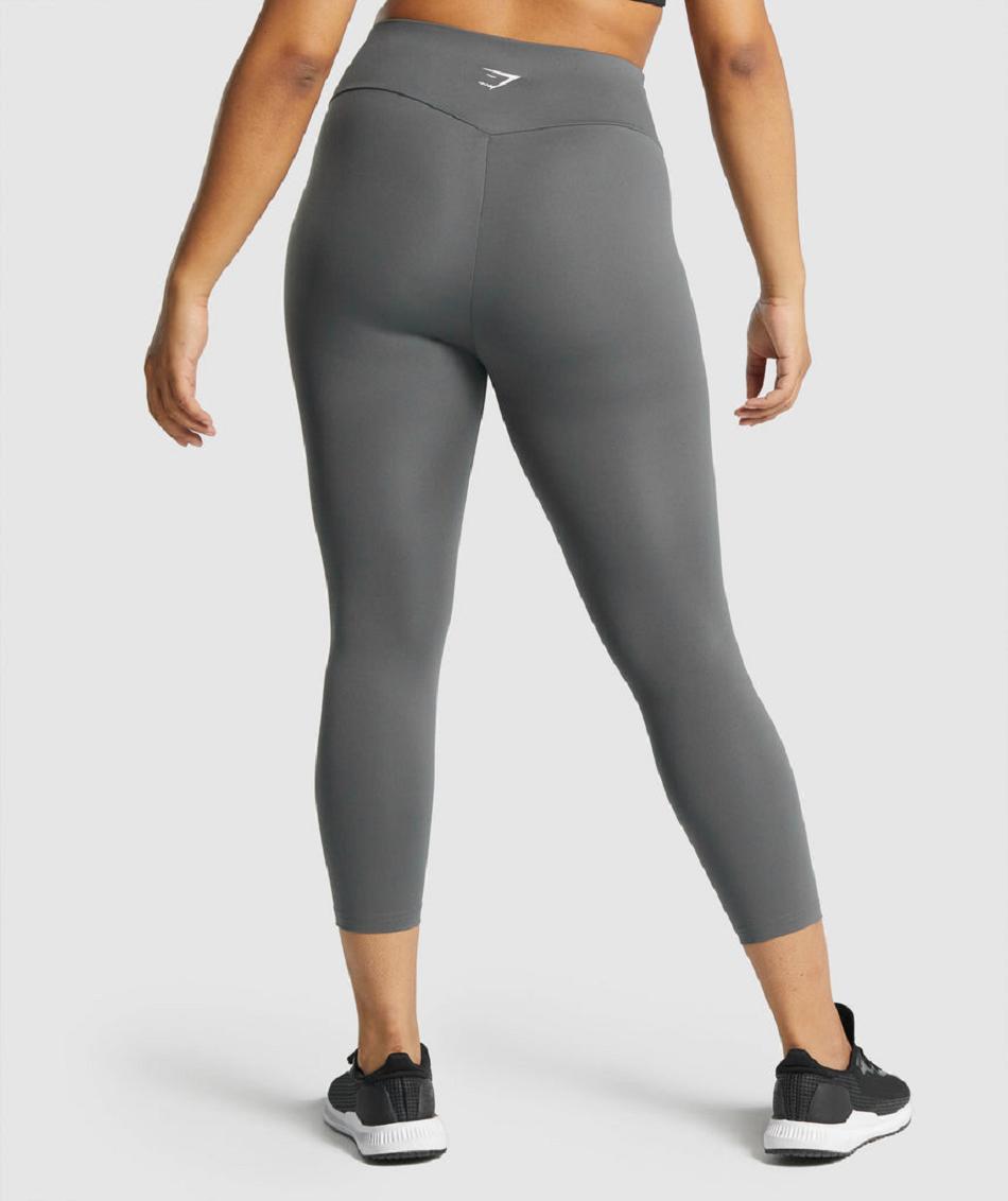 Κολαν Gymshark Training 7/8 γυναικεια γκρι | GR_K4212