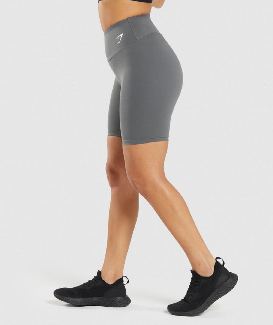 Σορτσ Gymshark Training Cycling γυναικεια γκρι | GR_CR5869