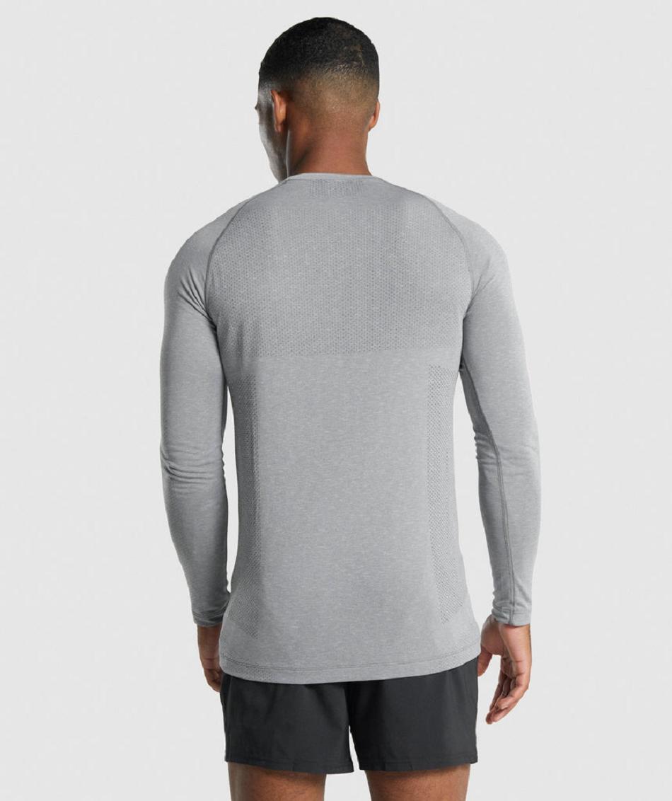 Μακρυμανικο Gymshark Vital Light Seamless ανδρικα γκρι | GR_QX6844