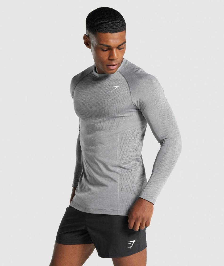 Μακρυμανικο Gymshark Vital Light Seamless ανδρικα γκρι | GR_QX6844