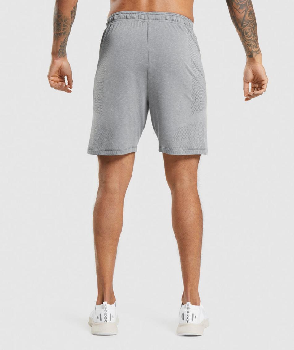 Σορτσ Gymshark Vital Light ανδρικα γκρι | GR_UV9624
