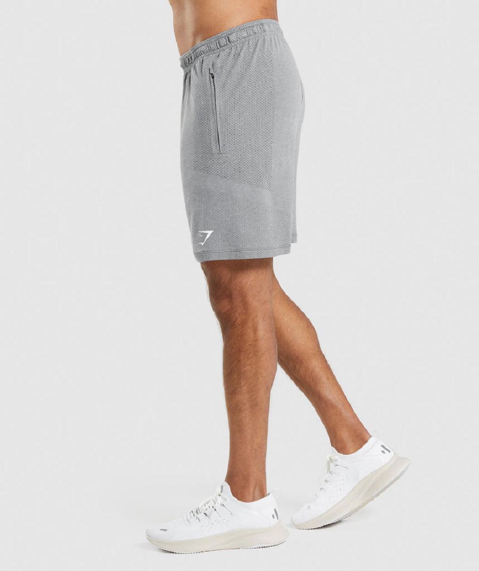 Σορτσ Gymshark Vital Light ανδρικα γκρι | GR_UV9624