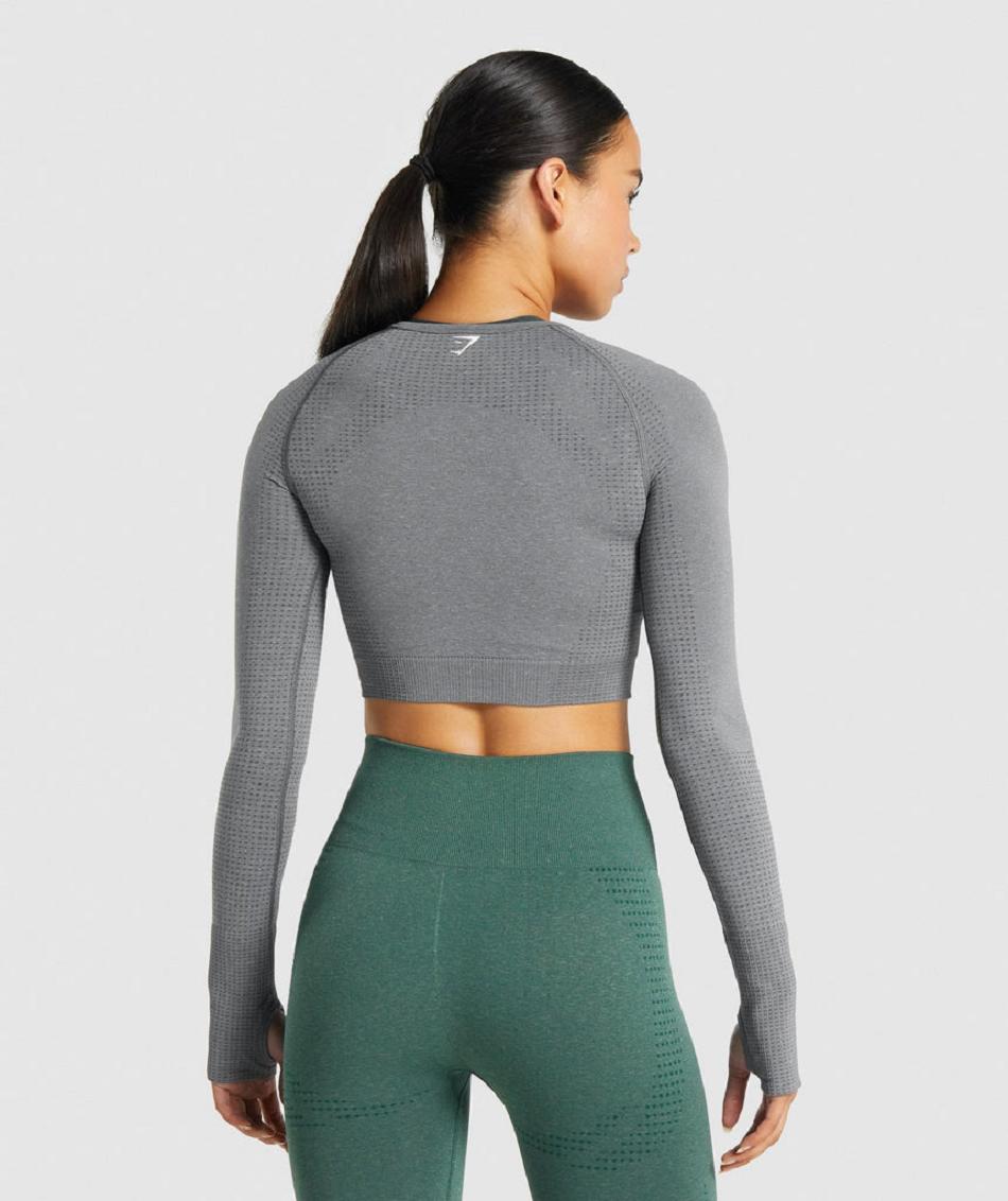 Μακρυμανικο Gymshark Vital Seamless 2.0 γυναικεια γκρι | GR_QX7003