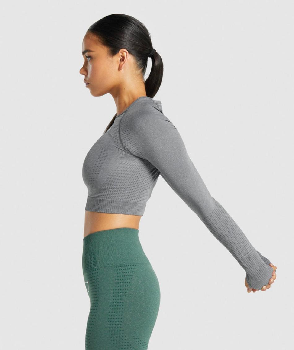 Μακρυμανικο Gymshark Vital Seamless 2.0 γυναικεια γκρι | GR_QX7003