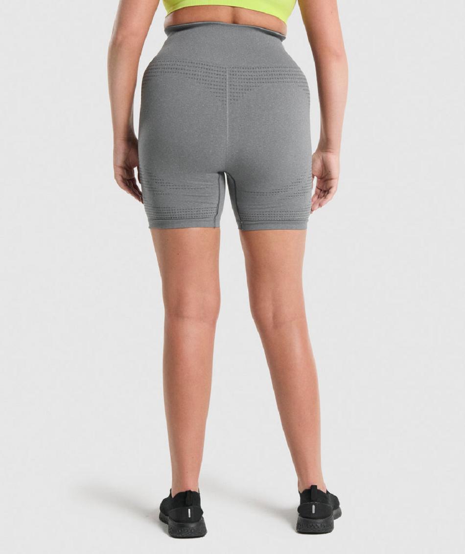 Σορτσ Gymshark Vital Seamless 2.0 γυναικεια γκρι | GR_QX7131