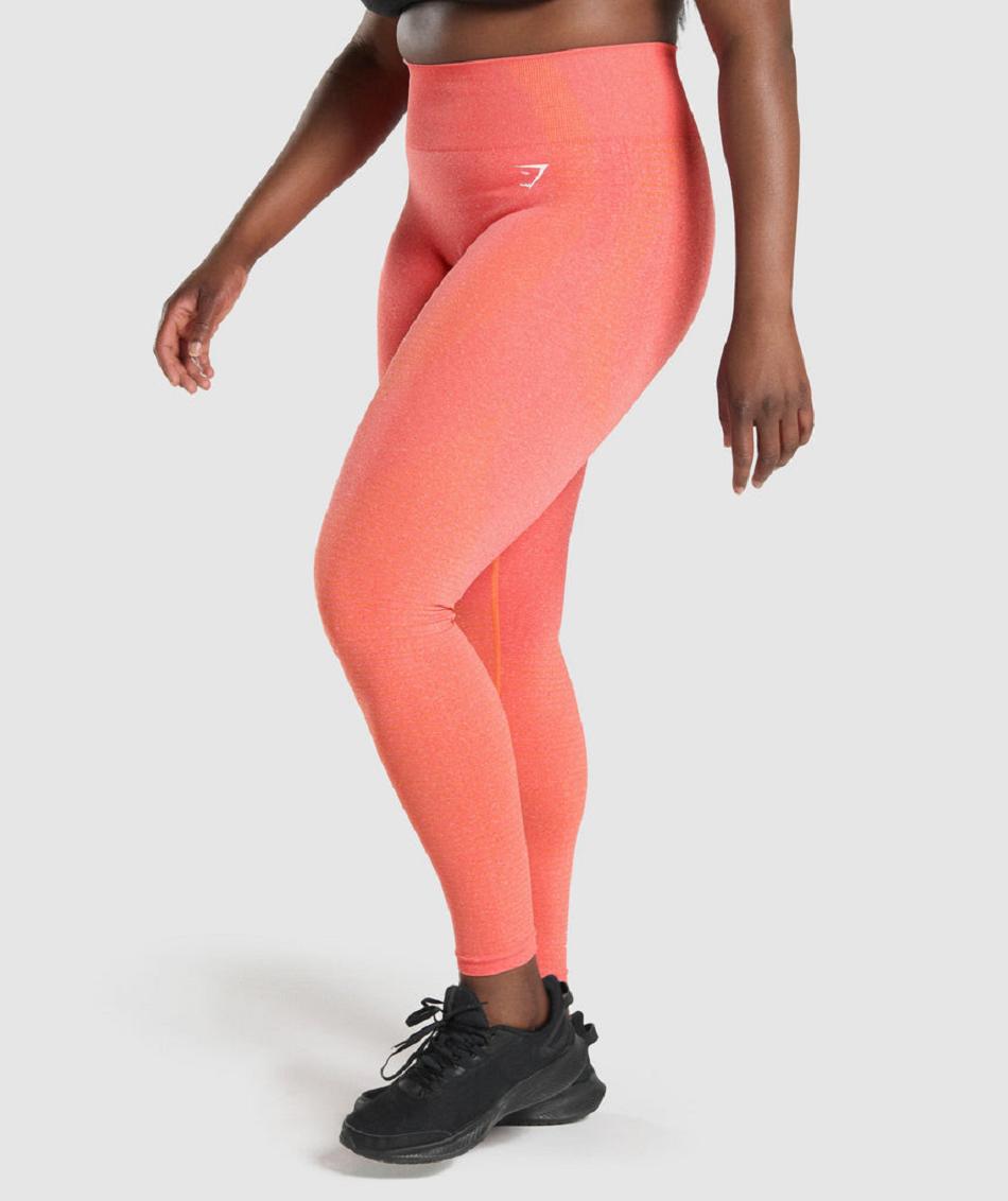 Κολαν Gymshark Vital Seamless 2.0 γυναικεια πορτοκαλι | GR_VV8262