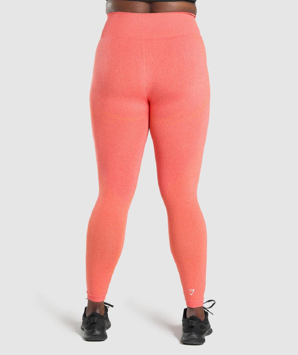 Κολαν Gymshark Vital Seamless 2.0 γυναικεια πορτοκαλι | GR_VV8262