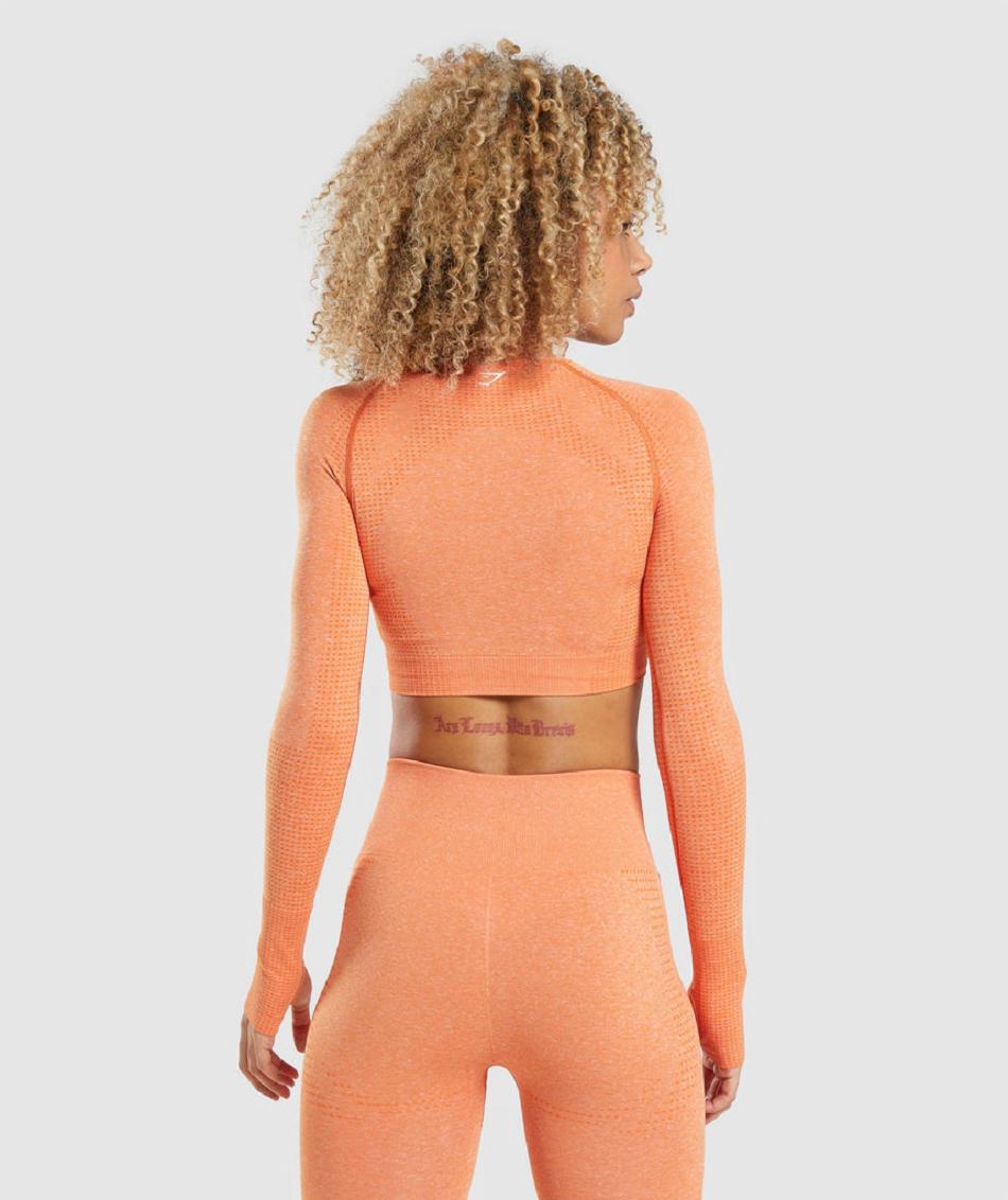 Μακρυμανικο Gymshark Vital Seamless 2.0 γυναικεια βερίκοκο πορτοκαλι | GR_EP5760