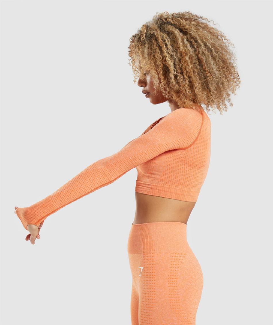 Μακρυμανικο Gymshark Vital Seamless 2.0 γυναικεια βερίκοκο πορτοκαλι | GR_EP5760