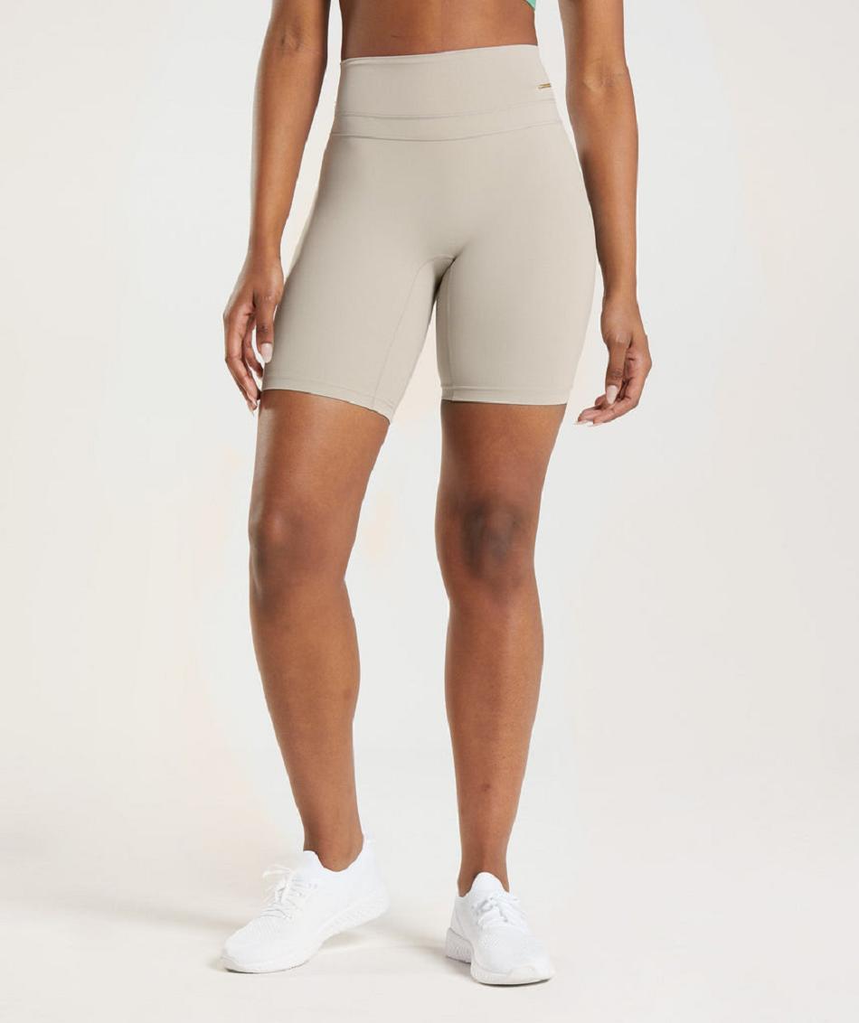 Σορτσ Gymshark Whitney Cycling γυναικεια γκρι | GR_ZI2407