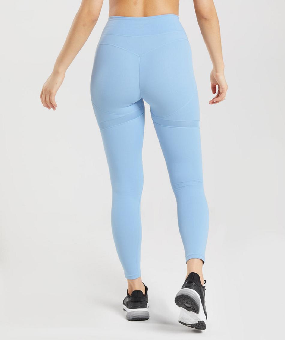 Κολαν Gymshark Whitney Mesh γυναικεια μπλε | GR_QX8341