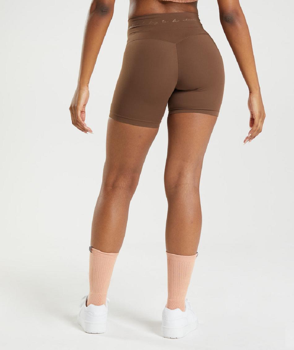 Σορτσ Gymshark Whitney Mesh γυναικεια καφε | GR_SU8665