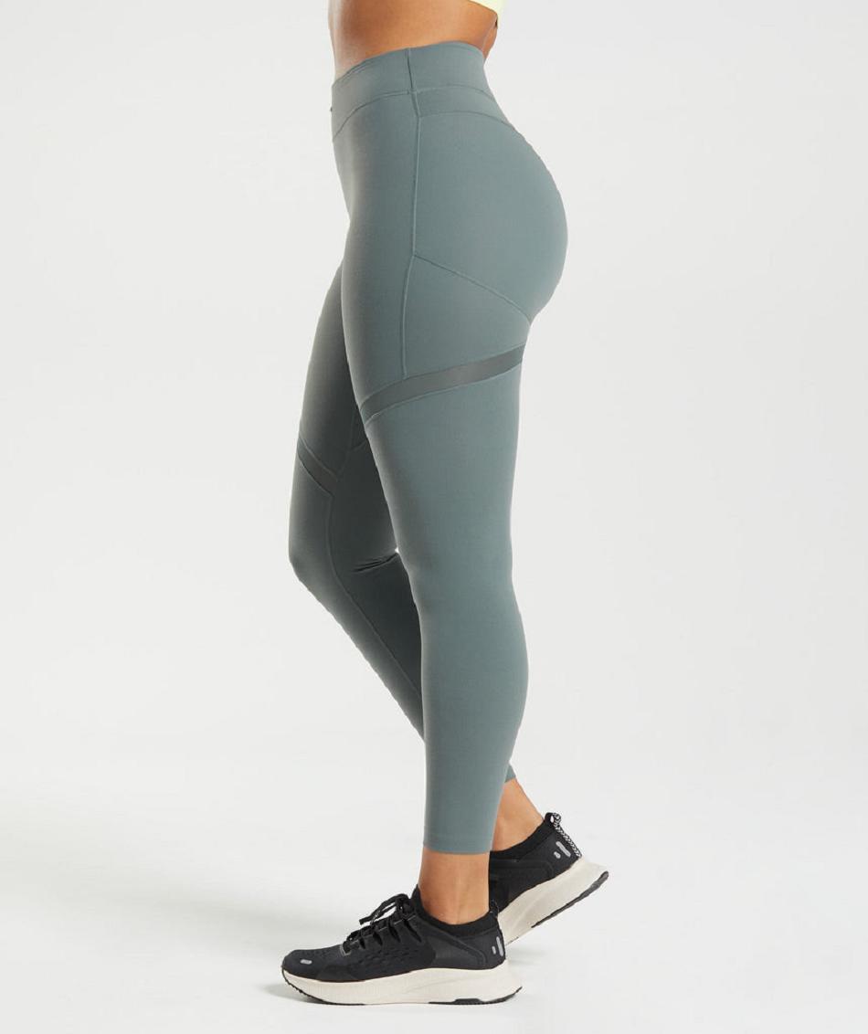 Κολαν Gymshark Whitney Mesh γυναικεια γκρι | GR_TA6450