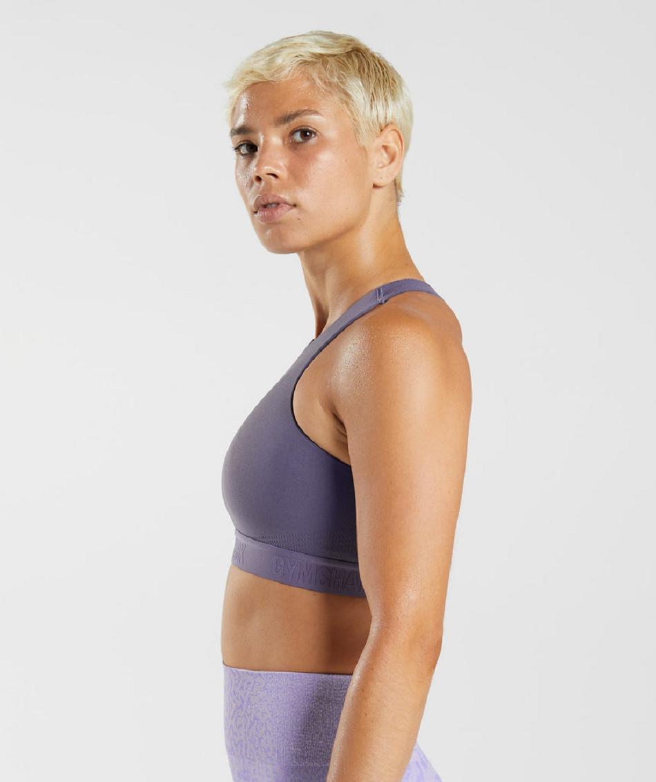 Αθλητικο Σουτιεν Gymshark 315 Performance High Neck γυναικεια μωβ μωβ | GR_Q1437