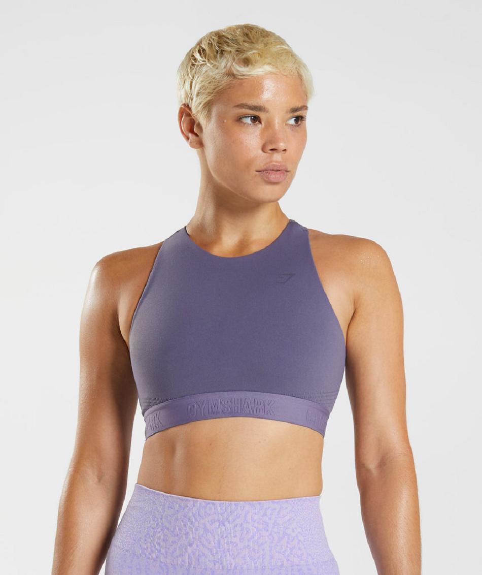 Αθλητικο Σουτιεν Gymshark 315 Performance High Neck γυναικεια μωβ μωβ | GR_Q1437