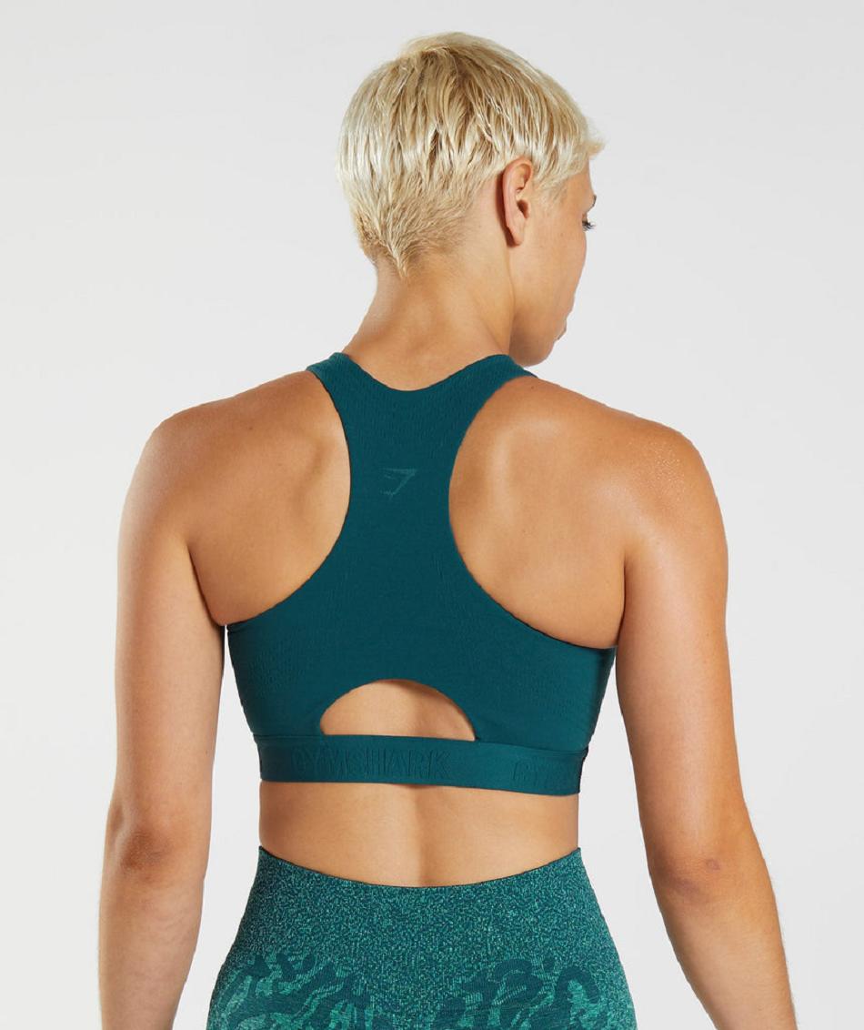 Αθλητικο Σουτιεν Gymshark 315 Performance High Neck γυναικεια τυρκουάζ μπλε | GR_R1717