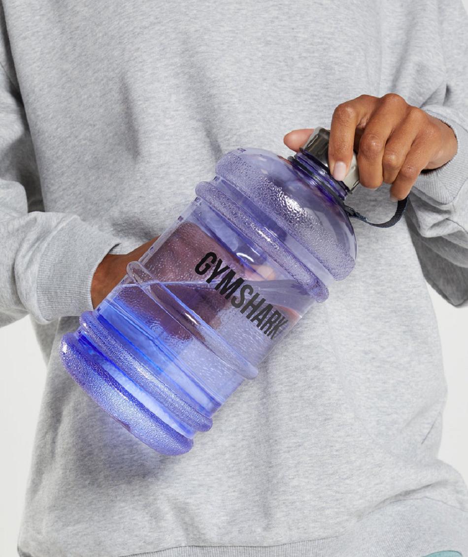 Μπουκάλια νερού Gymshark 74oz ανδρικα μωβ | GR_ED5133