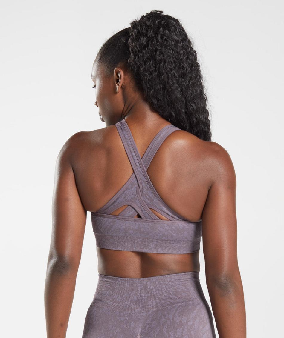 Αθλητικο Σουτιεν Gymshark Adapt Animal Seamless γυναικεια μωβ | GR_AS4058