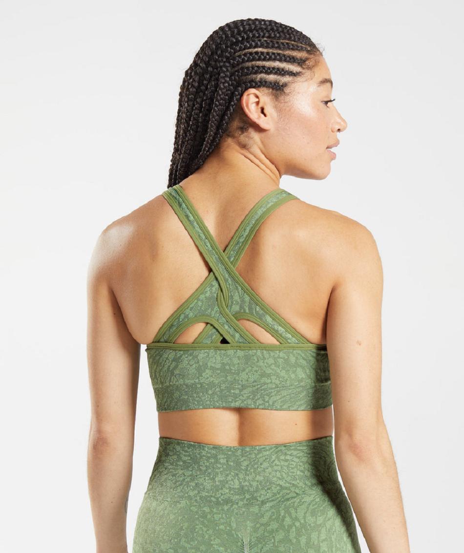 Αθλητικο Σουτιεν Gymshark Adapt Animal Seamless γυναικεια πρασινο | GR_EC5330