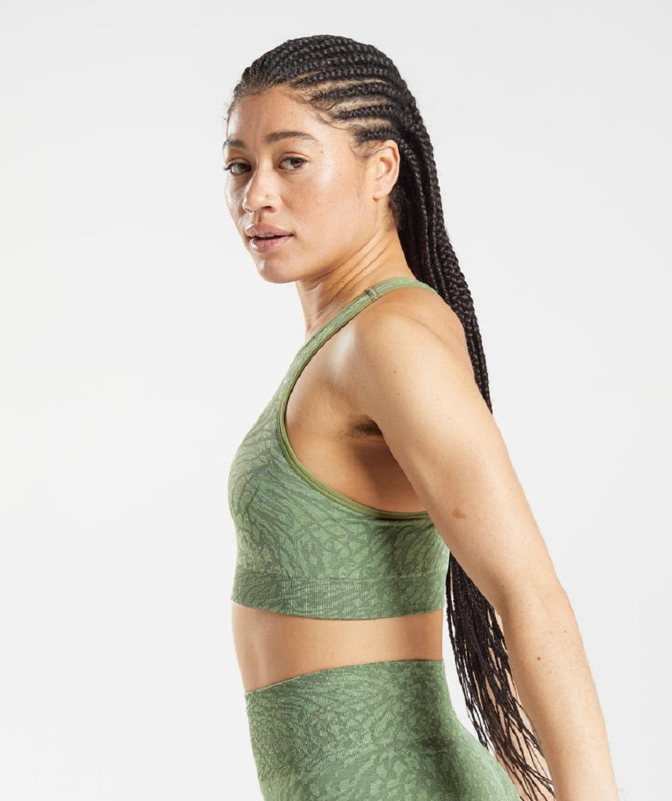Αθλητικο Σουτιεν Gymshark Adapt Animal Seamless γυναικεια πρασινο | GR_EC5330