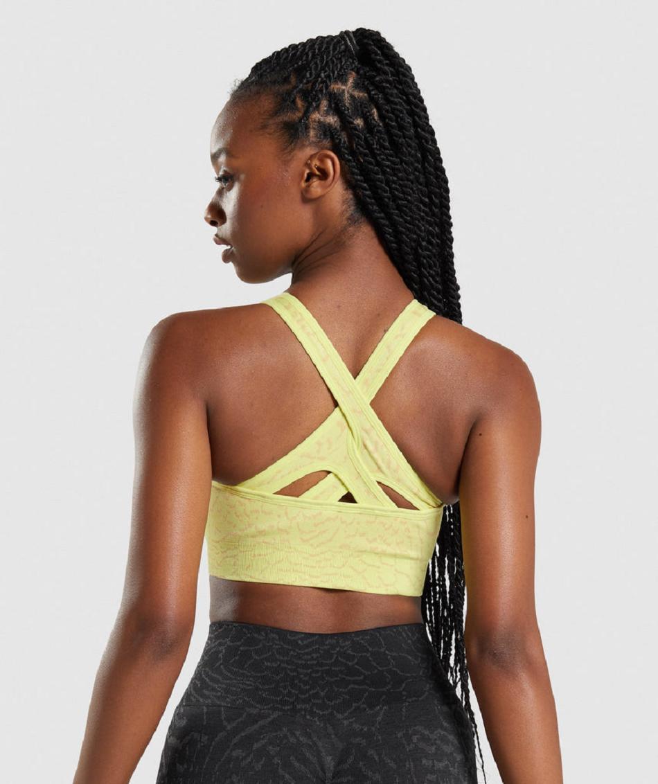 Αθλητικο Σουτιεν Gymshark Adapt Animal Seamless γυναικεια κίτρινα | GR_QZ1894