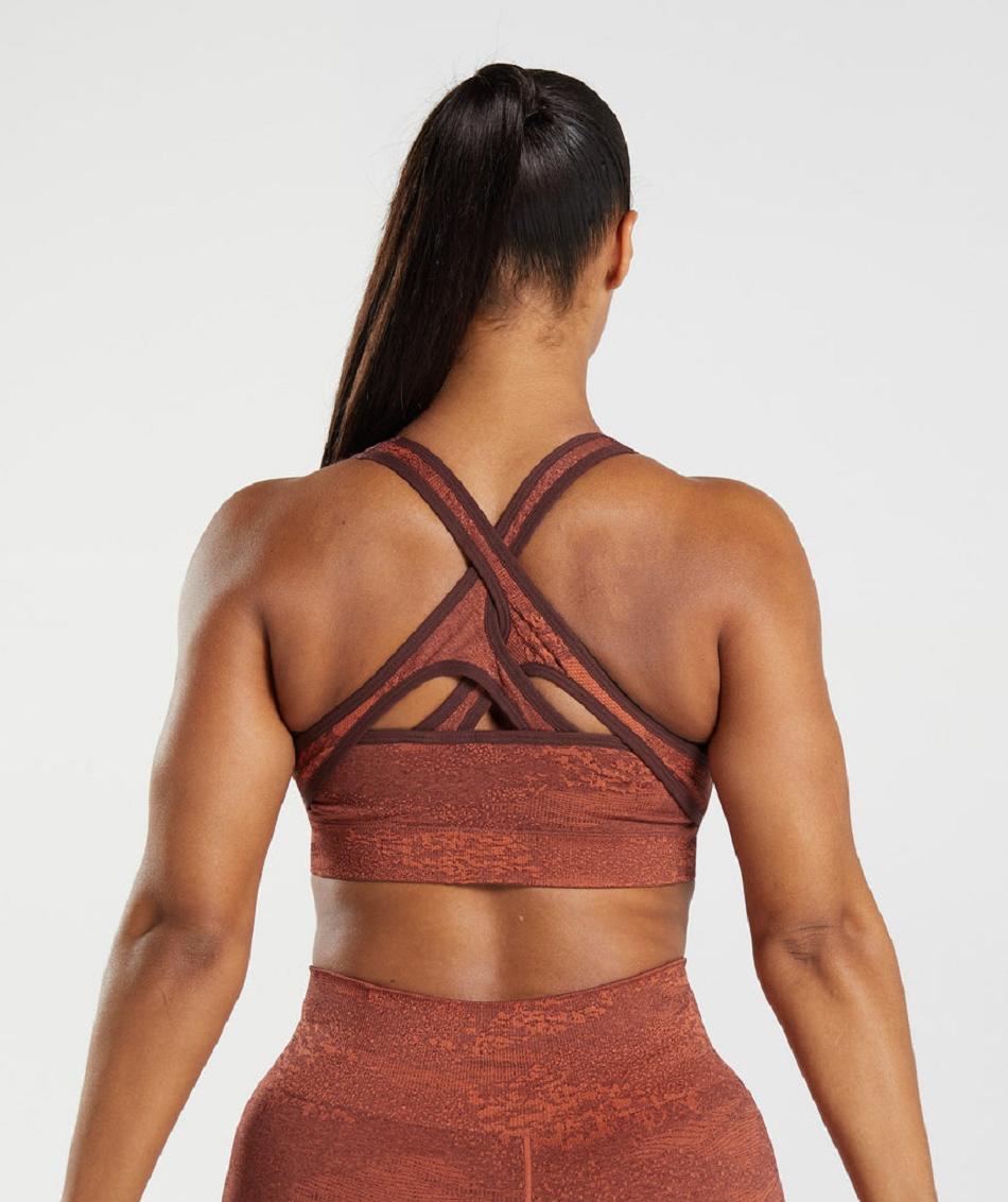 Αθλητικο Σουτιεν Gymshark Adapt Camo Seamless γυναικεια κοκκινα ροζ καφε | GR_KO2067