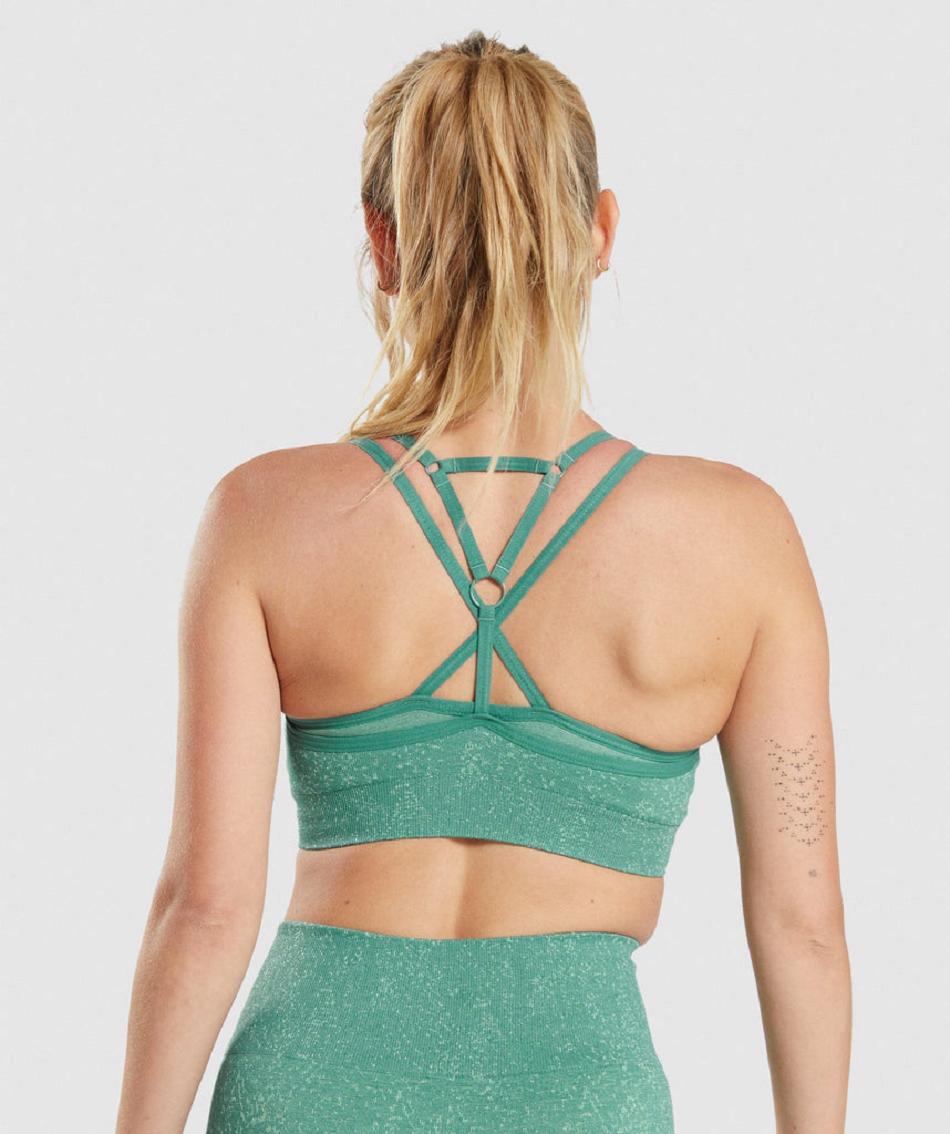 Αθλητικο Σουτιεν Gymshark Adapt Fleck Seamless γυναικεια πρασινο | GR_QX3119
