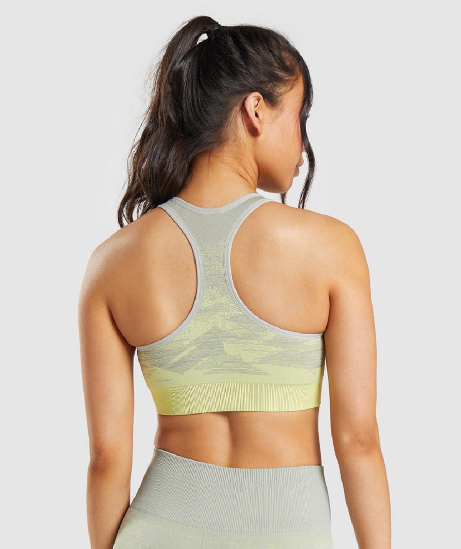 Αθλητικο Σουτιεν Gymshark Adapt Ombre Seamless γυναικεια γκρι καφε γκρι | GR_S7278
