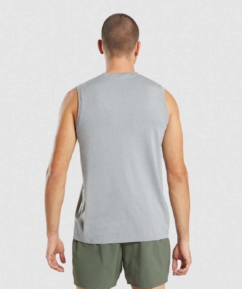 αμανικα μπλουζακια Gymshark Arrival Seamless ανδρικα γκρι | GR_EE9009