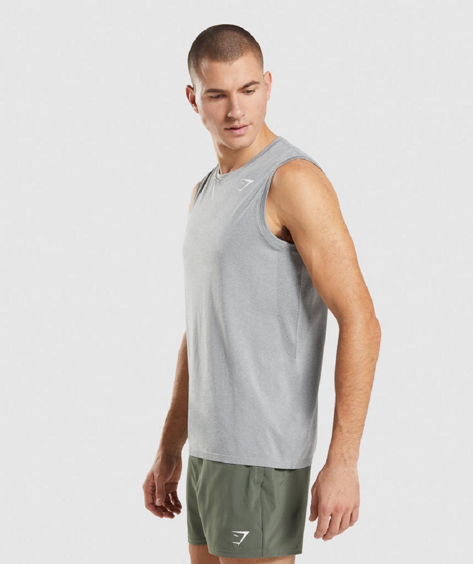 αμανικα μπλουζακια Gymshark Arrival Seamless ανδρικα γκρι | GR_EE9009