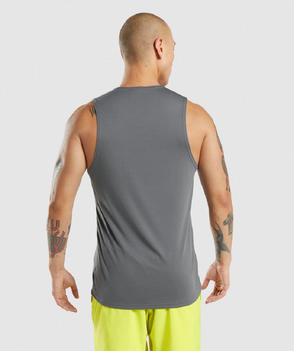 αμανικα μπλουζακια Gymshark Arrival ανδρικα γκρι | GR_VV5244
