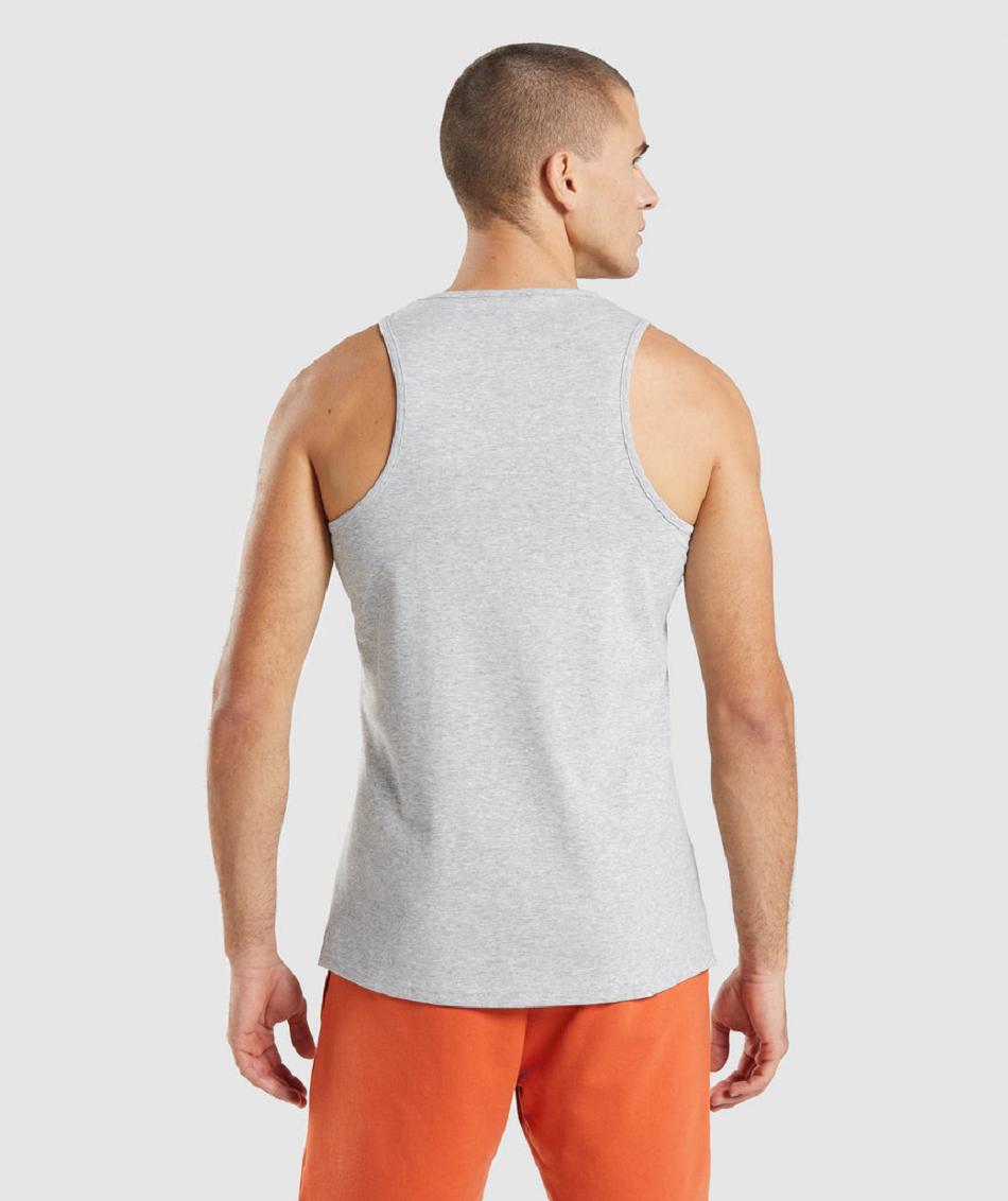αμανικα μπλουζακια Gymshark Critical 2.0 ανδρικα ανοιχτο γκρι | GR_EP3746