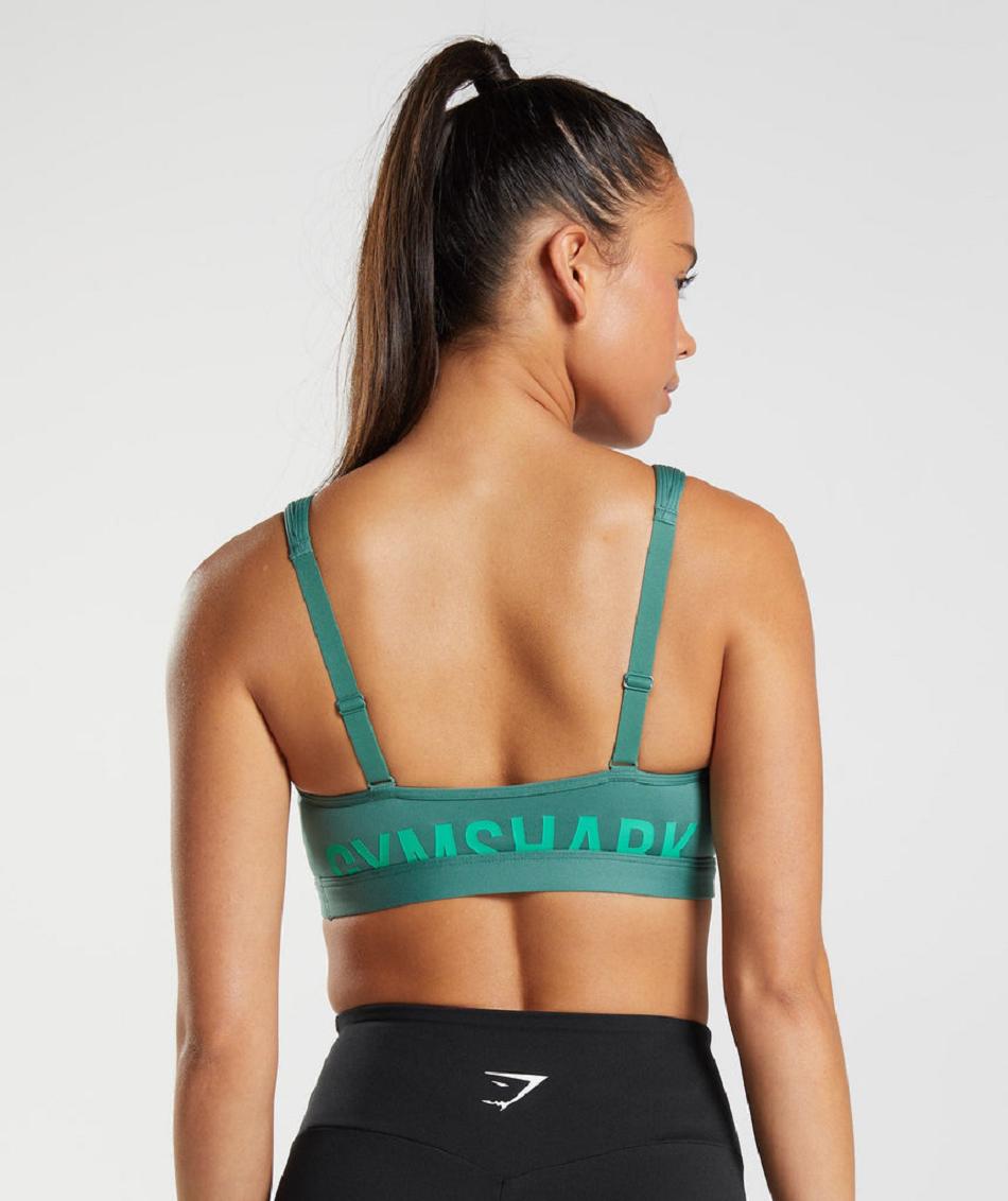 Αθλητικο Σουτιεν Gymshark Fraction γυναικεια πρασινο | GR_VV1525