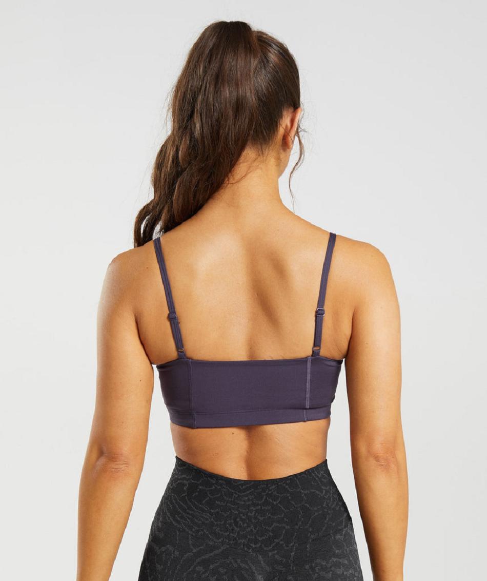 Αθλητικο Σουτιεν Gymshark Legacy Bra γυναικεια μωβ | GR_KO7088