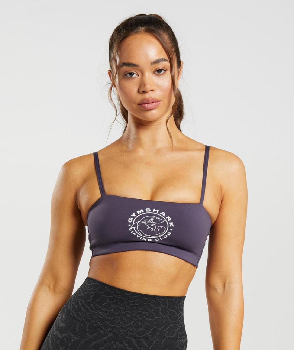 Αθλητικο Σουτιεν Gymshark Legacy Bra γυναικεια μωβ | GR_KO7088