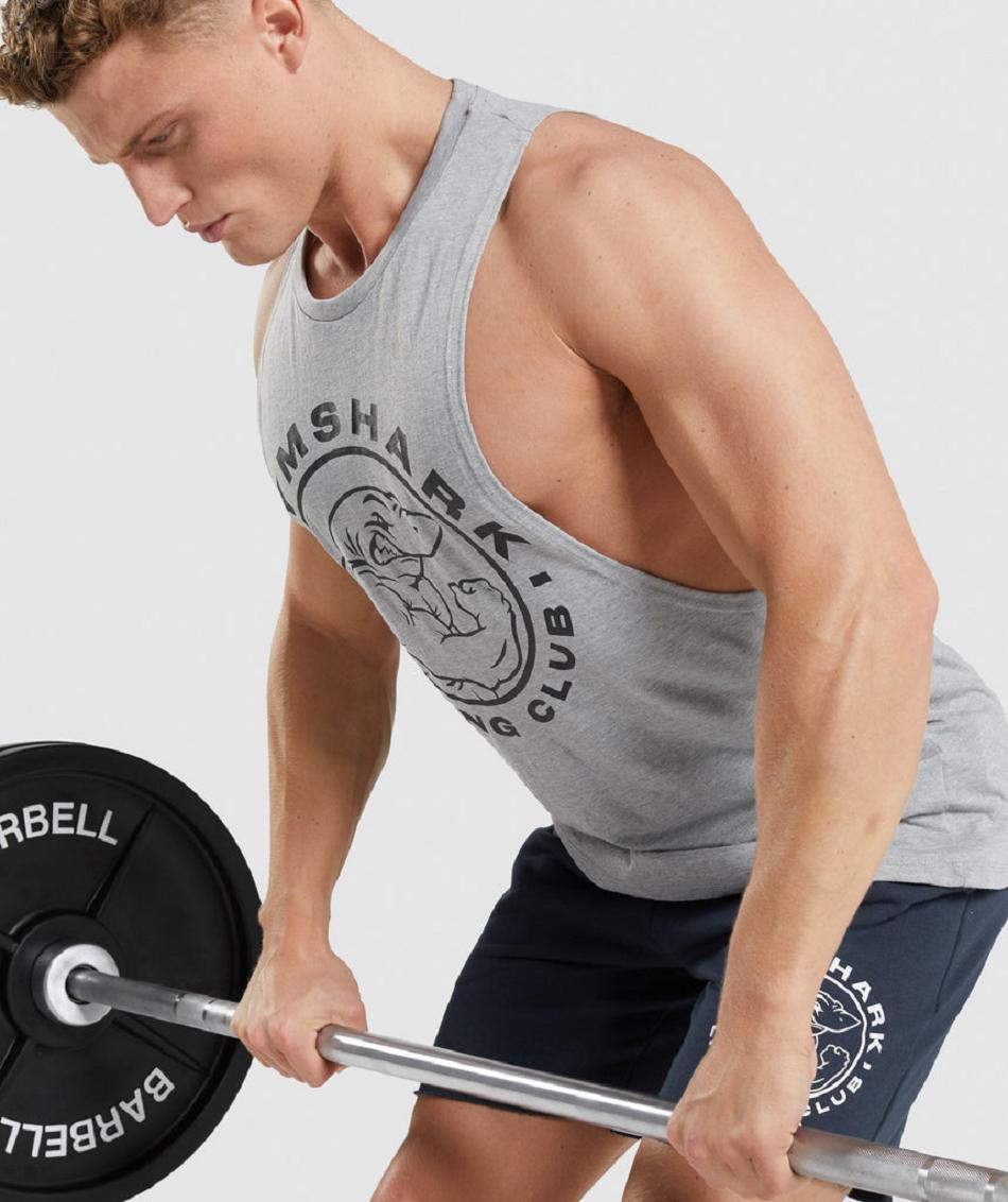 αμανικα μπλουζακια Gymshark Legacy Drop Arm ανδρικα ανοιχτο γκρι | GR_IM6814