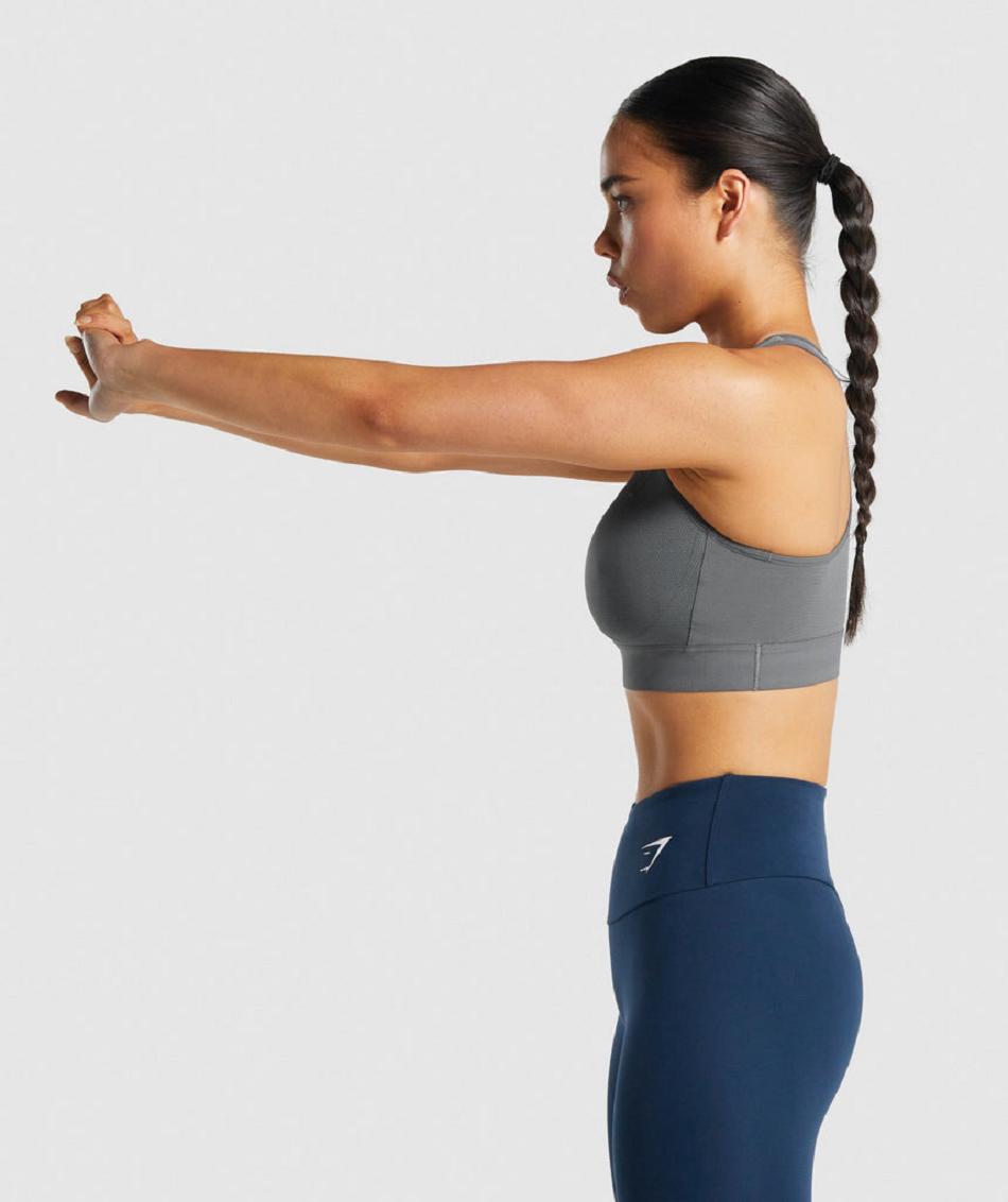 Αθλητικο Σουτιεν Gymshark Lightweight High Support γυναικεια γκρι | GR_QZ7508