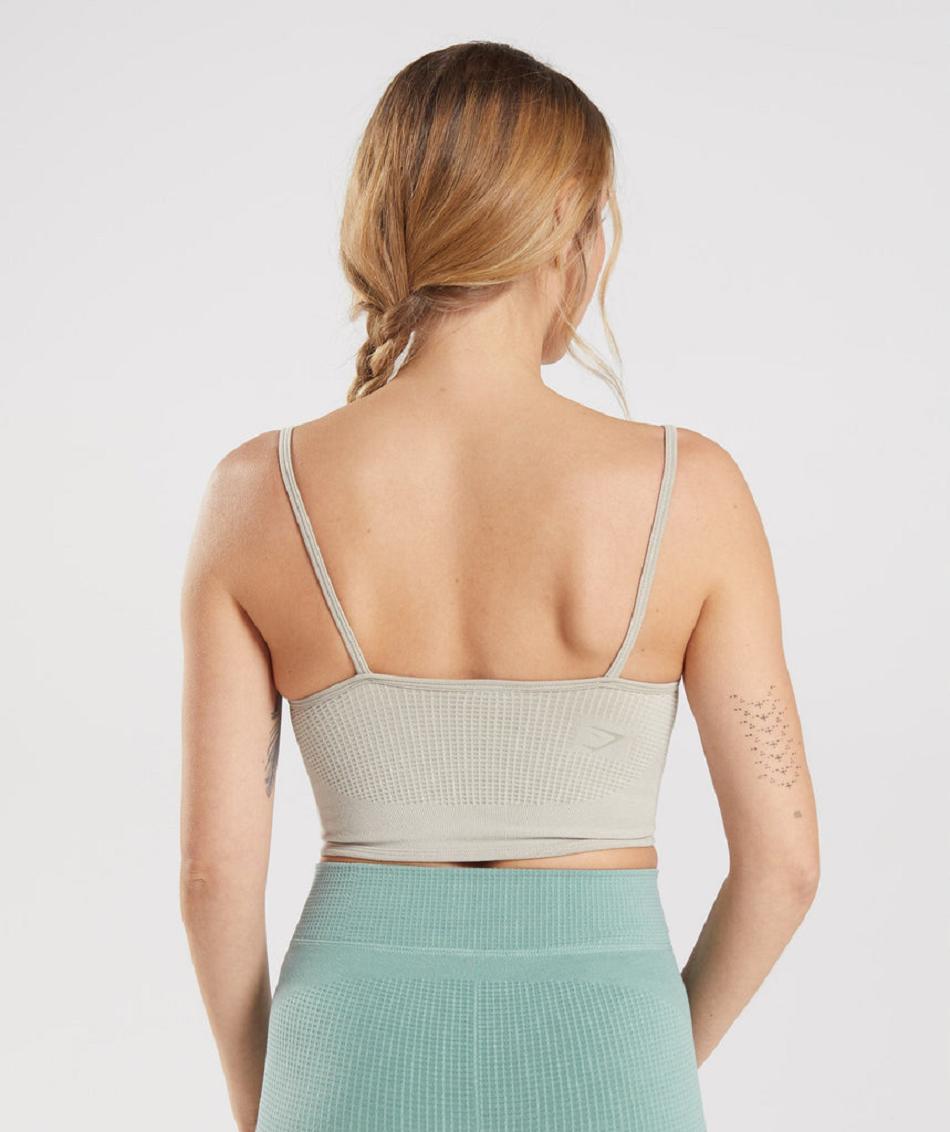 Αθλητικο Σουτιεν Gymshark Pause Seamless Bralette γυναικεια γκρι | GR_EG1368