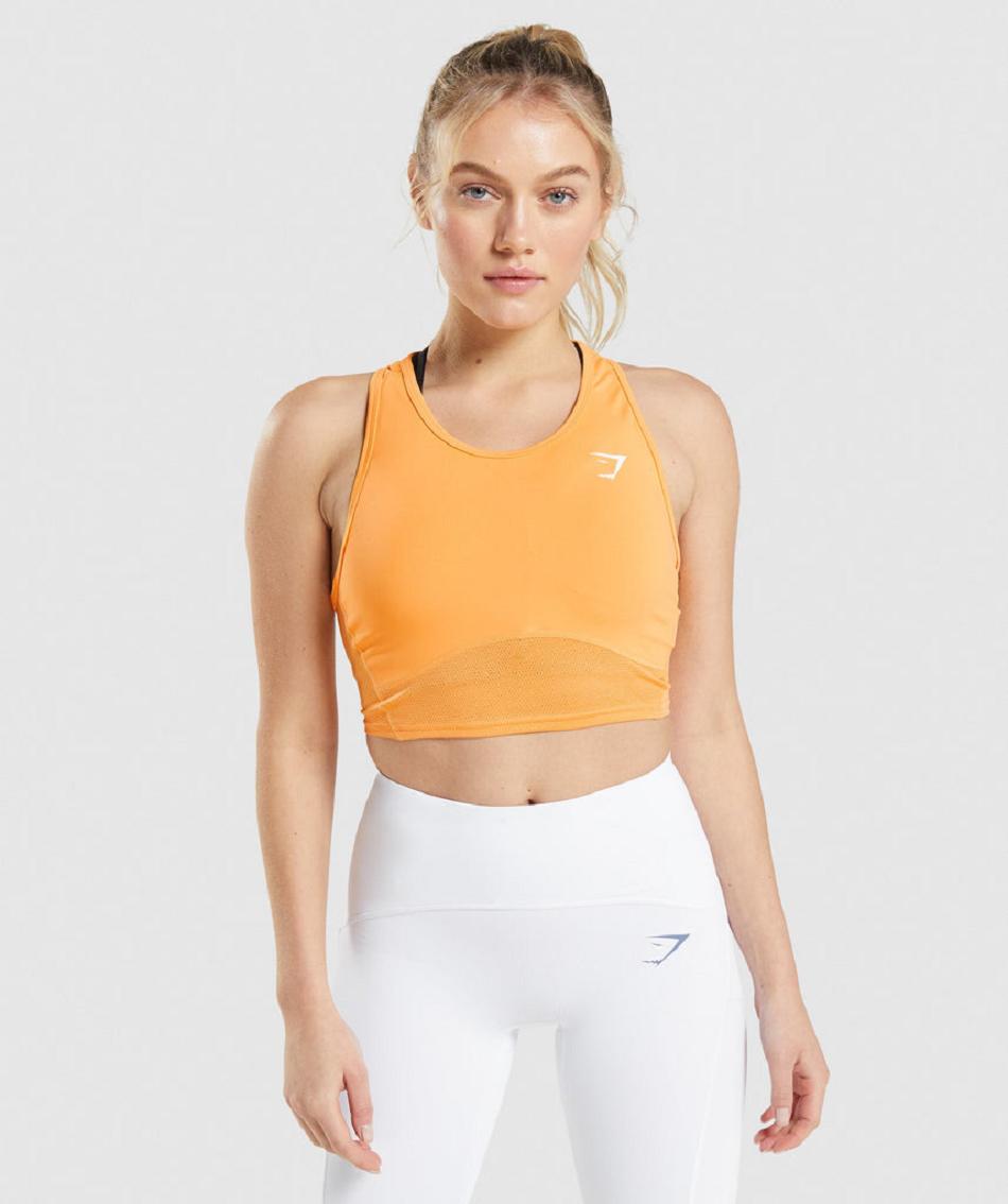 αμανικα μπλουζακια Gymshark Pulse Crop γυναικεια βερίκοκο πορτοκαλι | GR_R2497