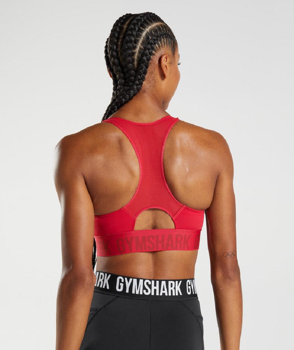 Αθλητικο Σουτιεν Gymshark Training Brandmark γυναικεια κοκκινα | GR_TH1732